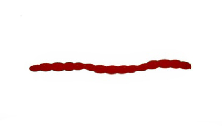 Мягкая приманка Brown Perch BloodWorm 45мм 201 - купить по доступной цене Интернет-магазине Наутилус