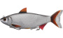 Мягкая приманка LIVETARGET Roach Swimbait 140S-202 Silver/Black, 140мм, 50г - купить по доступной цене Интернет-магазине Наутилус