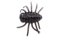 Мягкая приманка LureMax Dung Bug 1''/3см, LSDB1-05-006 Black - купить по доступной цене Интернет-магазине Наутилус