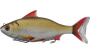 Мягкая приманка LIVETARGET Rudd Swimbait 130S-220 Metallic/Gold, 130мм, 36г - купить по доступной цене Интернет-магазине Наутилус